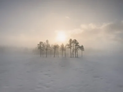 Quiet Gathering of Murmuring Silhouettes