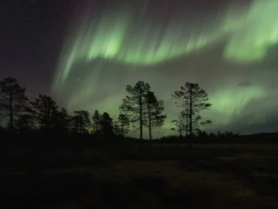 Veil of the Celestial Borealis - DIGITAL